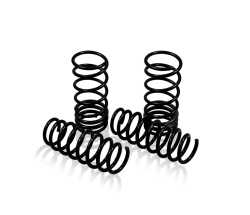Lowering springs