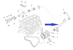 Water pipe with gasket