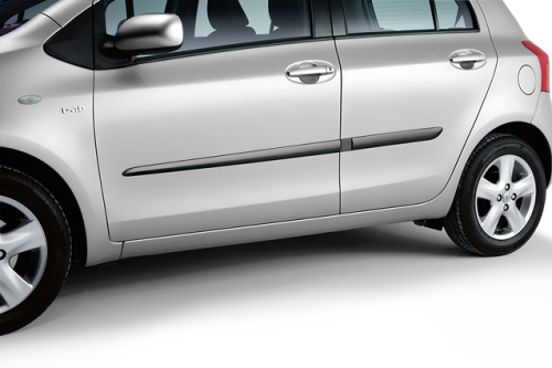 Protection bars black